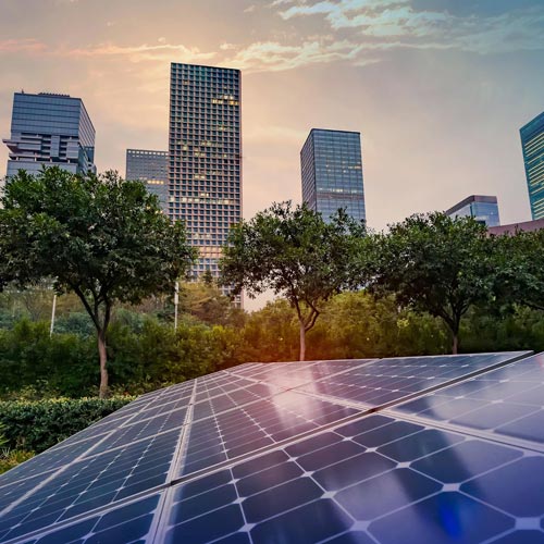 A view of some trees and buildings with solar panels.
