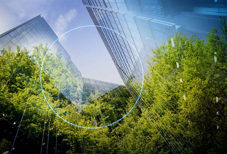 A picture of trees and buildings in the background.